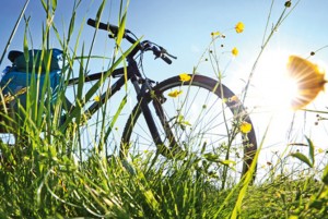 Gut versichert in den Frühling: Die richtige Hausratversicherung für Radler Gut versichert in den Frühling: Die richtige Hausratversicherung für Radler